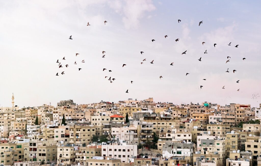 Panoramic view of the city of Amman with flock of birds